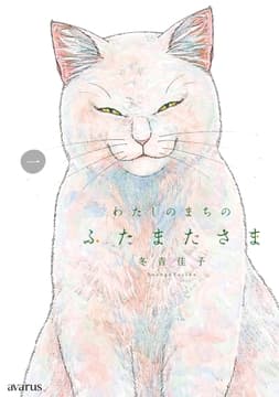 わたしのまちのふたまたさま