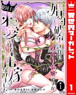 婚約破棄された辺境伯令嬢ですが､敵国王に求愛されて花嫁になりました_thumbnail