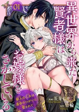 異世界から来た賢者様はお嫁様をさがしている 獣人の乙女は運命のつがいに愛されて 【短編】
