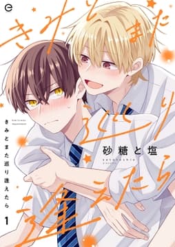 きみとまた巡り逢えたらシリーズ_thumbnail