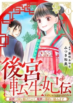 後宮転生妃伝～前世で国を傾けたので､現世は節約に励みます～