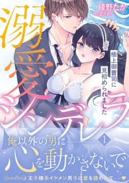 溺愛シンデレラ 極上御曹司に見初められました