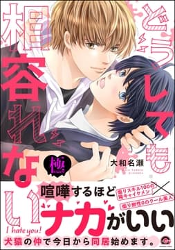 どうしても相容れない【極】