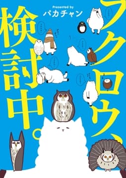 フクロウ､検討中｡