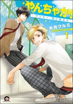 やんちゃか!─ヤンキー､罠に嵌まる─(分冊版)