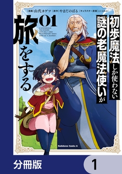 初歩魔法しか使わない謎の老魔法使いが旅をする【分冊版】_thumbnail