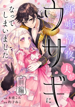 新婚初夜､夫がウサギになってしまいました