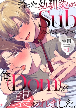 拾った幼馴染がSubだったんですが､俺が襲われました｡_thumbnail