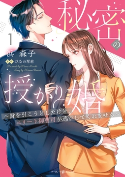 秘密の授かり婚～身を引こうとしたけど､エリート御曹司が逃がしてくれません～