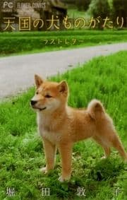 天国の犬ものがたり～ラストレター～_thumbnail