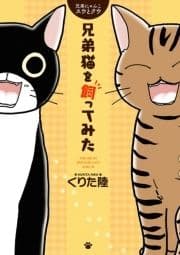 兄弟にゃんこ スウとクウ 兄弟猫を飼ってみた