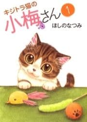 キジトラ猫の小梅さん_thumbnail