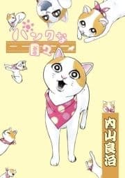 パンクな日々_thumbnail