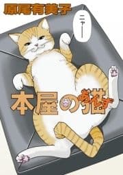 本屋の猫(あんず)_thumbnail