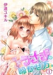 可愛いうさぎの啼かせ方｡