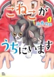 こねこがうちにいます_thumbnail