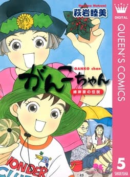 がんこちゃん ～峰岸家の伝説～