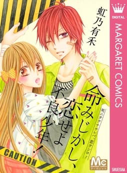 命みじかし､恋せよ不良少年!