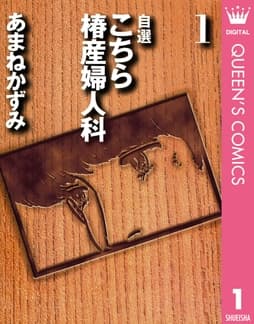 自選 こちら椿産婦人科