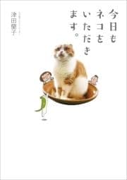 今日もネコをいただきます｡
