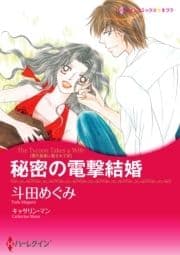 秘密の電撃結婚_thumbnail