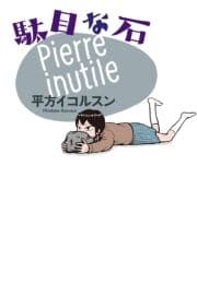 駄目な石_thumbnail