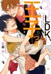 3LDK､王子つき