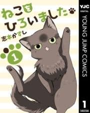 ねこをひろいました｡