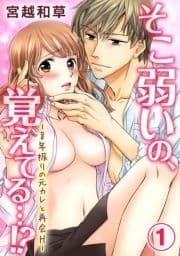 そこ弱いの､覚えてる…!‐8年振りの元カレと再会H‐