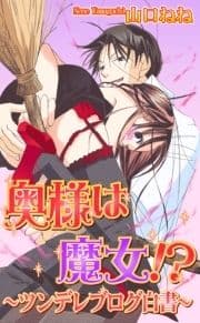 奥様は魔女!?～ツンデレブログ白書～