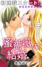 Love Silky 蜜薔薇の結婚
