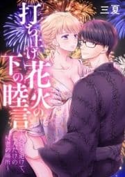 打ち上げ花火の下の睦言～人目を避けて､二人だけの秘密の場所～