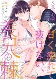甘く痺れて抜けない､義兄の棘～駿ちゃん､大好きです…～