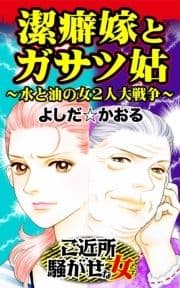 潔癖嫁とガサツ姑～水と油の女2人大戦争～ご近所騒がせな女たち