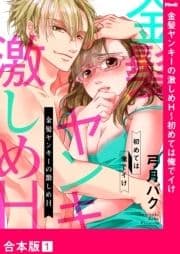 金髪ヤンキーの激しめH～初めては俺でイけ【合本版】