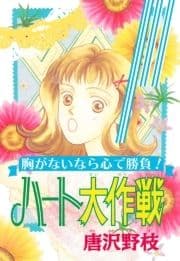 ハート大作戦 胸がないなら心で勝負!