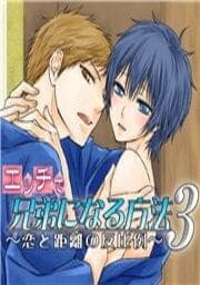 エッチで兄弟になる方法3 ～恋と距離の反比例～