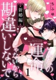 こんなの運命じゃないから勘違いしないで 新婚編