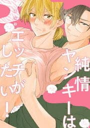 純情ヤンキーはエッチがしたい!_thumbnail