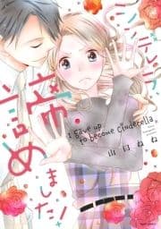 シンデレラ､諦めました!