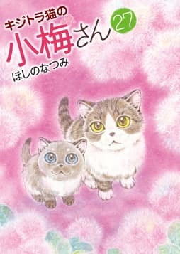 キジトラ猫の小梅さん_thumbnail