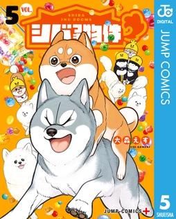 シバつき物件_thumbnail
