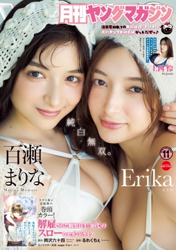 月刊ヤングマガジン