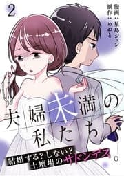 夫婦未満の私たち～結婚する?しない?土壇場のサドンデス_thumbnail