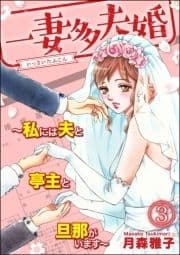 一妻多夫婚 ～私には夫と亭主と旦那がいます～_thumbnail