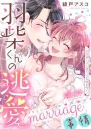 羽柴くんの逃愛marriage(マリッジ)事情 ～溺愛ダーリンは今日も嘘をつく～《Pinkcherie》_thumbnail