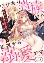 拾われリリーは甘い嘘にほだされる ワケあり貴族さまは初夜から溺愛です(分冊版)_thumbnail