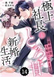 comic Berry's 離婚前提､夫婦はじめます～極上社長ととろ甘新婚生活～(分冊版)_thumbnail