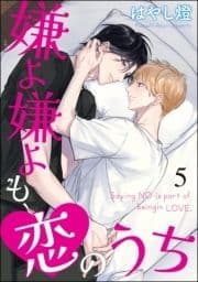 嫌よ嫌よも､恋のうち(分冊版)_thumbnail