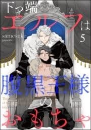 下っ端エルフは腹黒王様のおもちゃ(分冊版)_thumbnail